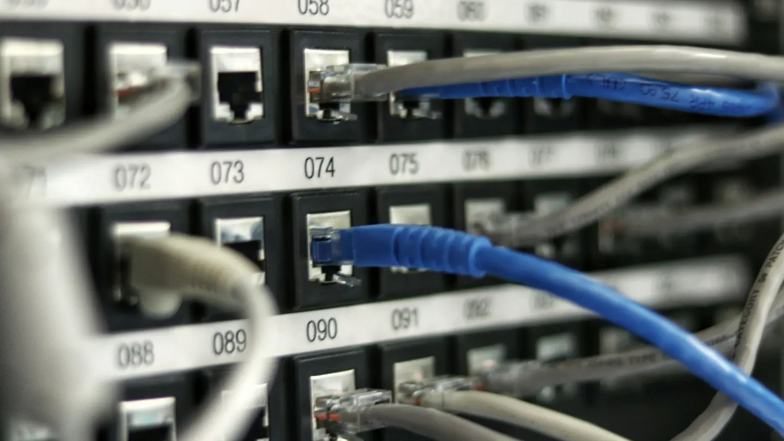 Blaue und graue Netzwerkkabel stecken in einem nummerierten Patchfeld eines Serverschranks.